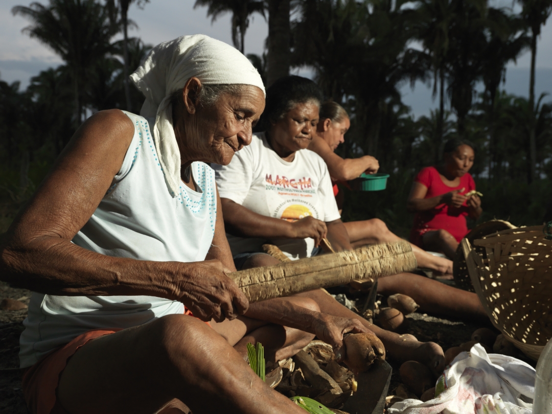 Babaçu coconut harvest Photo Peter Caton   ISPN Archive 1