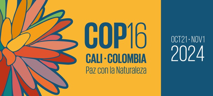 COP 16