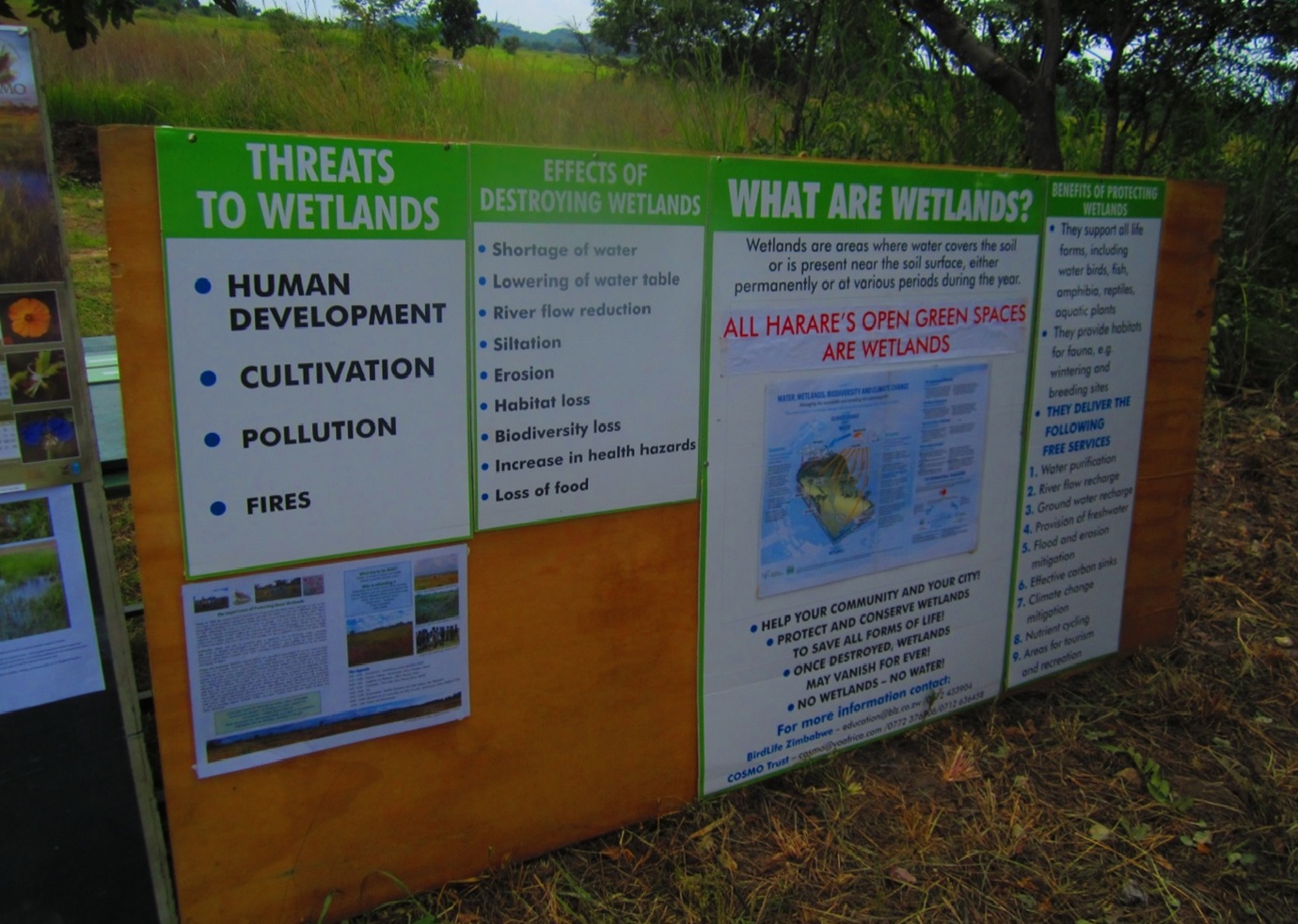 COSMO awareness campaign on wetlands