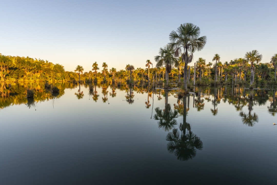 Cerrado Photo Andre Dib   ISPN Archive 6