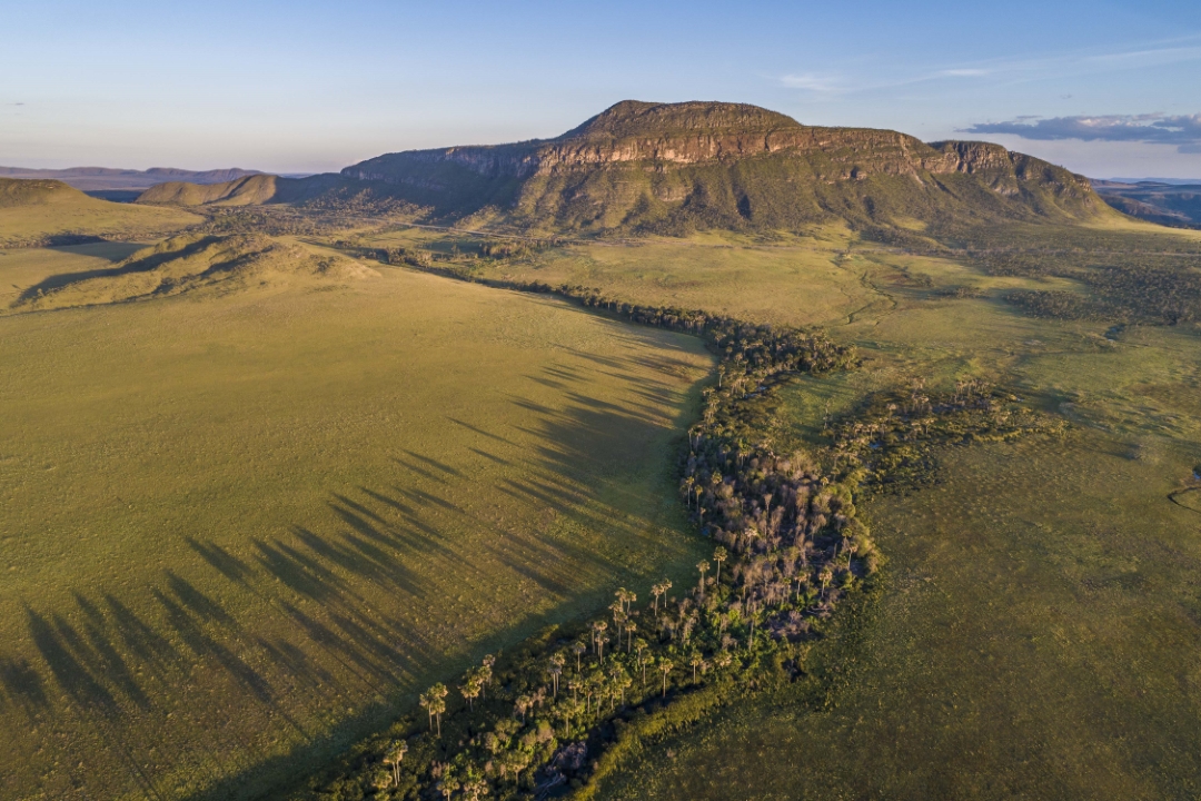 Cerrado Photo Andre Dib   ISPN Archive 7