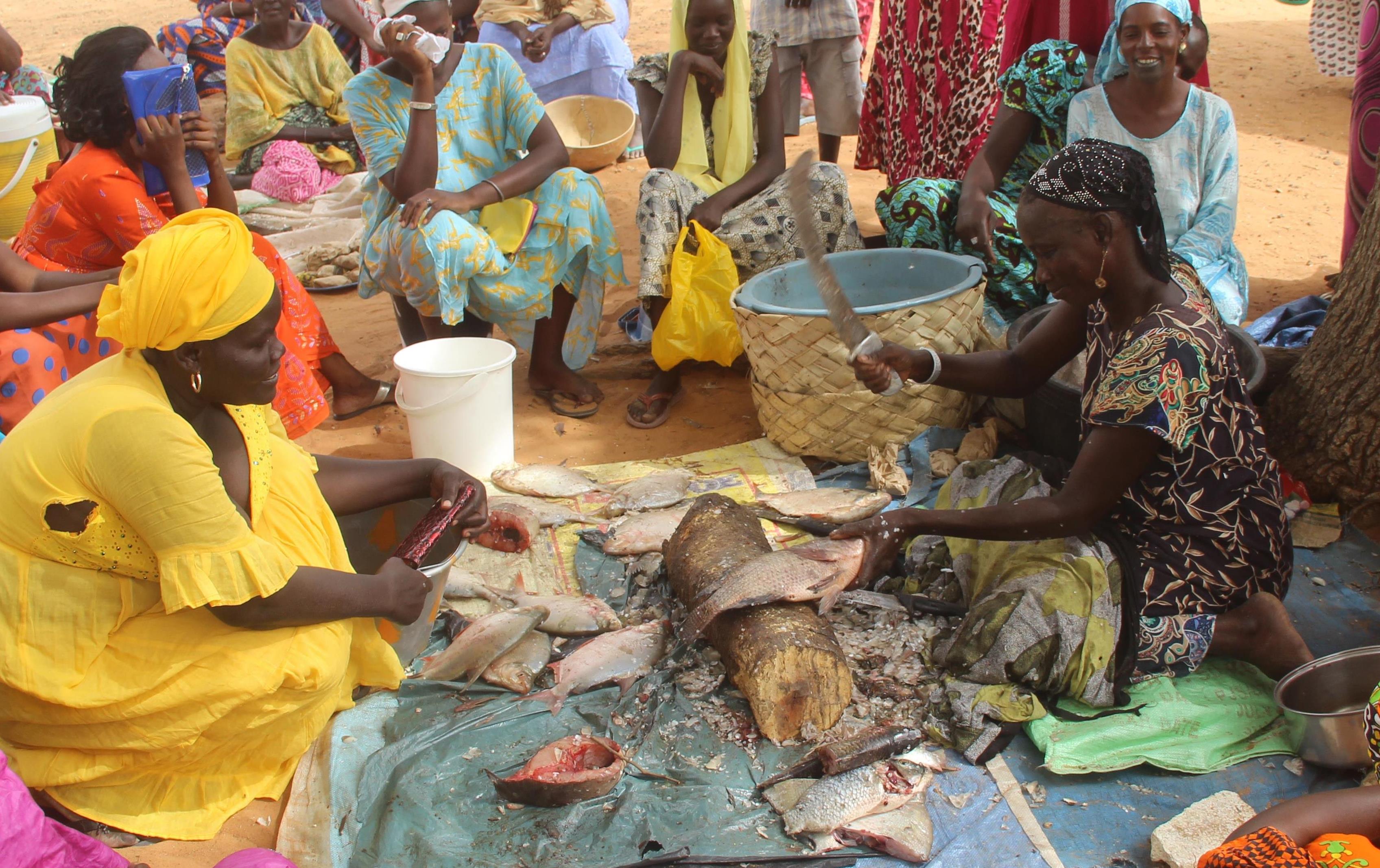 Gnitt ICCA Fish sellers