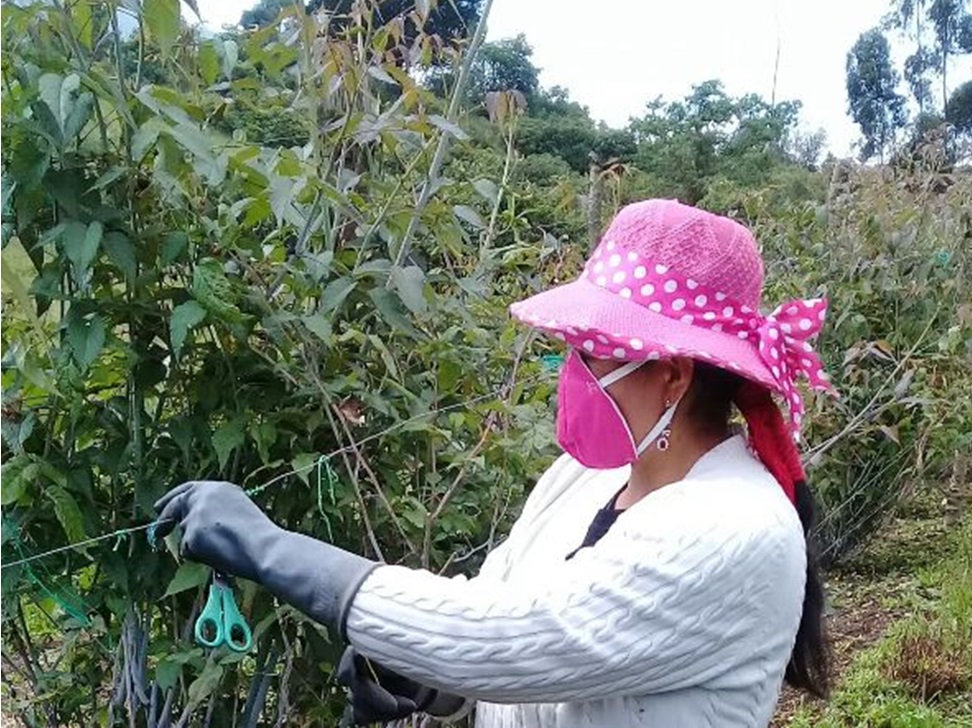 Otavalo