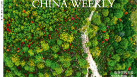 China Weekly on ICCA Cover