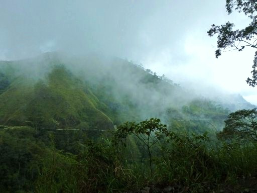 mountains-of-timor