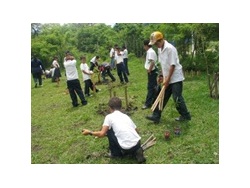 GEF Small Grants Programme supports communities in their efforts to preserve and restore forests SFM 4