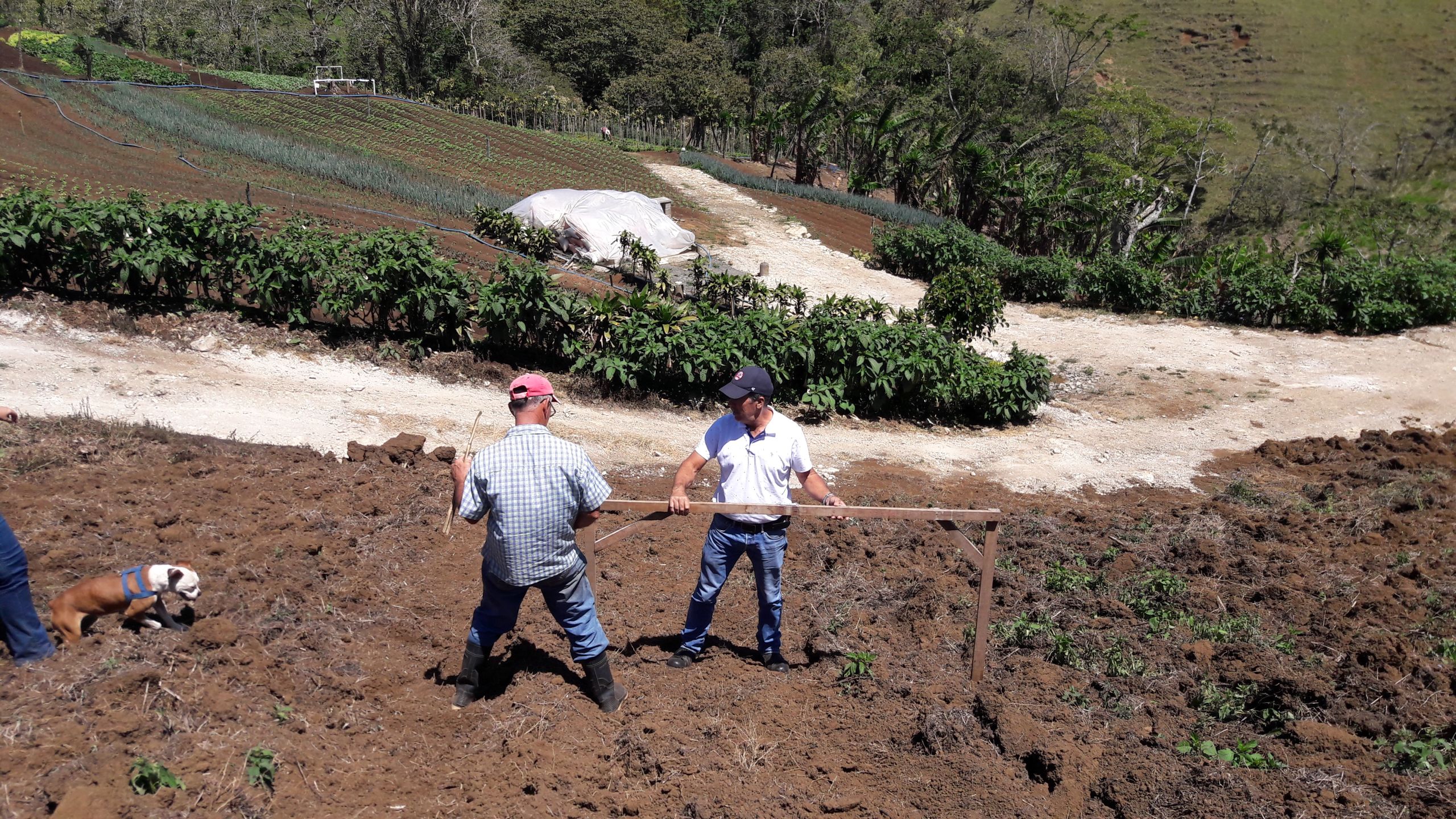 trazado de obras de conservacion de suelo uso de codal 2560x1440