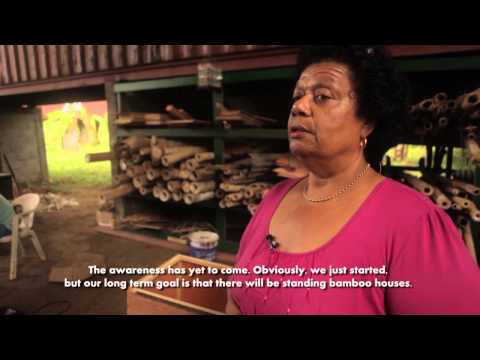 Suriname:Promotion of bamboo as alternative for wood