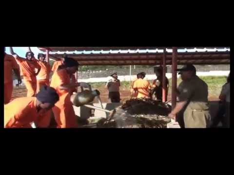 Mauritius, Project:  Sustainable Waste Management Practices at Petit Verger Prison