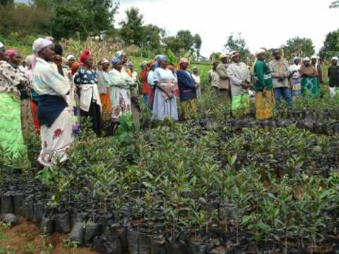 Kenya - Fisheries Project by SGP in Mt Kenya