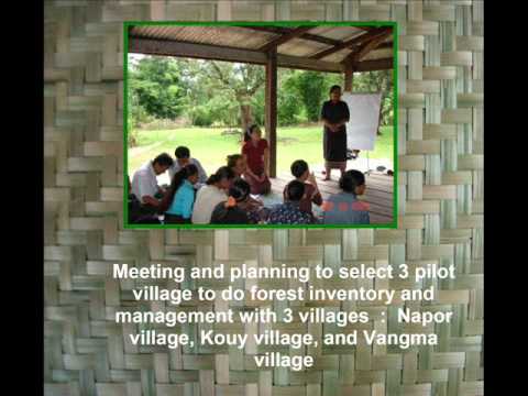 Laos - Forest Protection