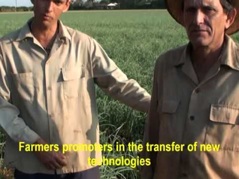 Cuba CBA Smart agriculture