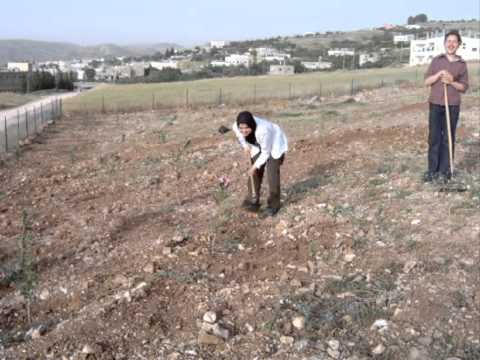 Palestinian Community Contribution to Conserve Plant Biodiversity