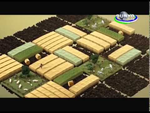 Production of bio-fertilizer (in Russian language)