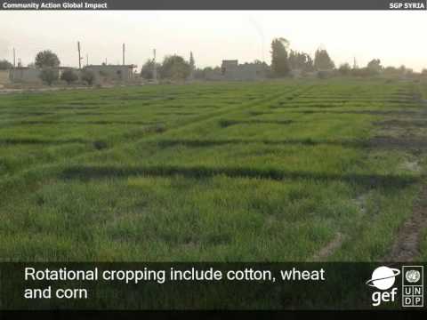 Syrian Arab Republic - Use of Solar Energy for Pumping Irrigation Water in Abed Village