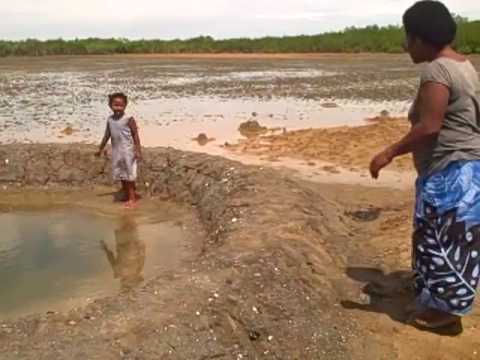 Fiji -  Salt Ponds