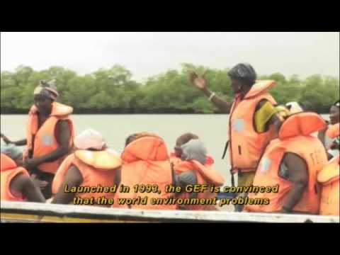 Senegal: Mangrove restoration and climate change