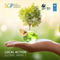 The GEF Small Grants Programme: Local Action, Global Impact