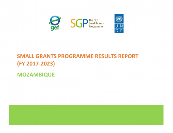 Mozambique Results Report (FY 2017-2023)