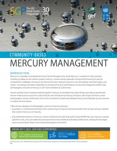 Community-based Mercury Management (2022)