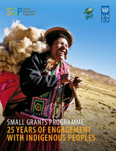 Small Grants Programme: 25 Years of Engagement with Indigenous Peoples