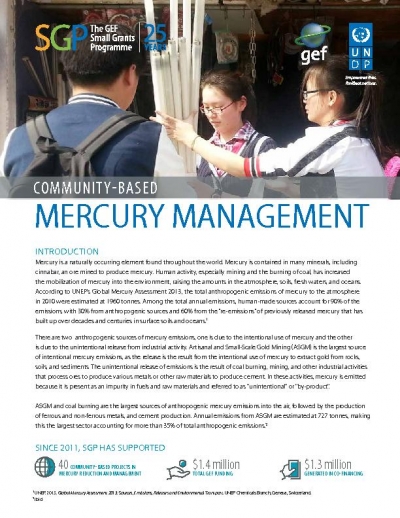 Community-based mercury management