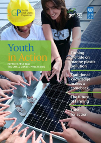 Youth in Action: Experiences from the Small Grants Programme