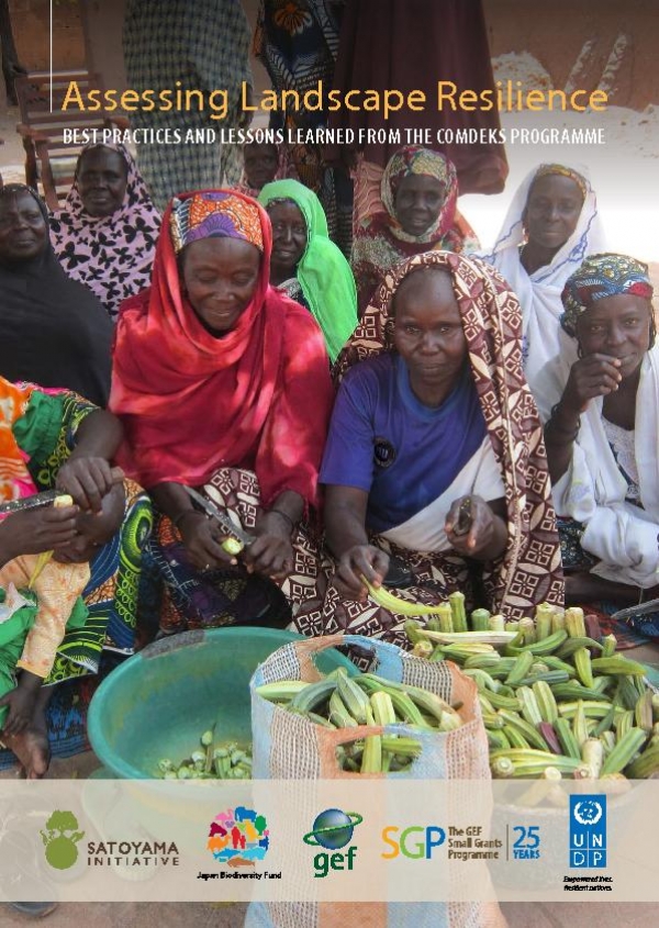 Assessing Landscape Resilience: Best practices and lessons learned from the COMDEKS Programme